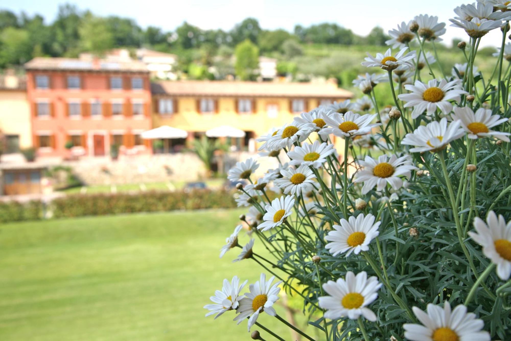 Bed and Breakfast La Zerla à Bardolino Extérieur photo
