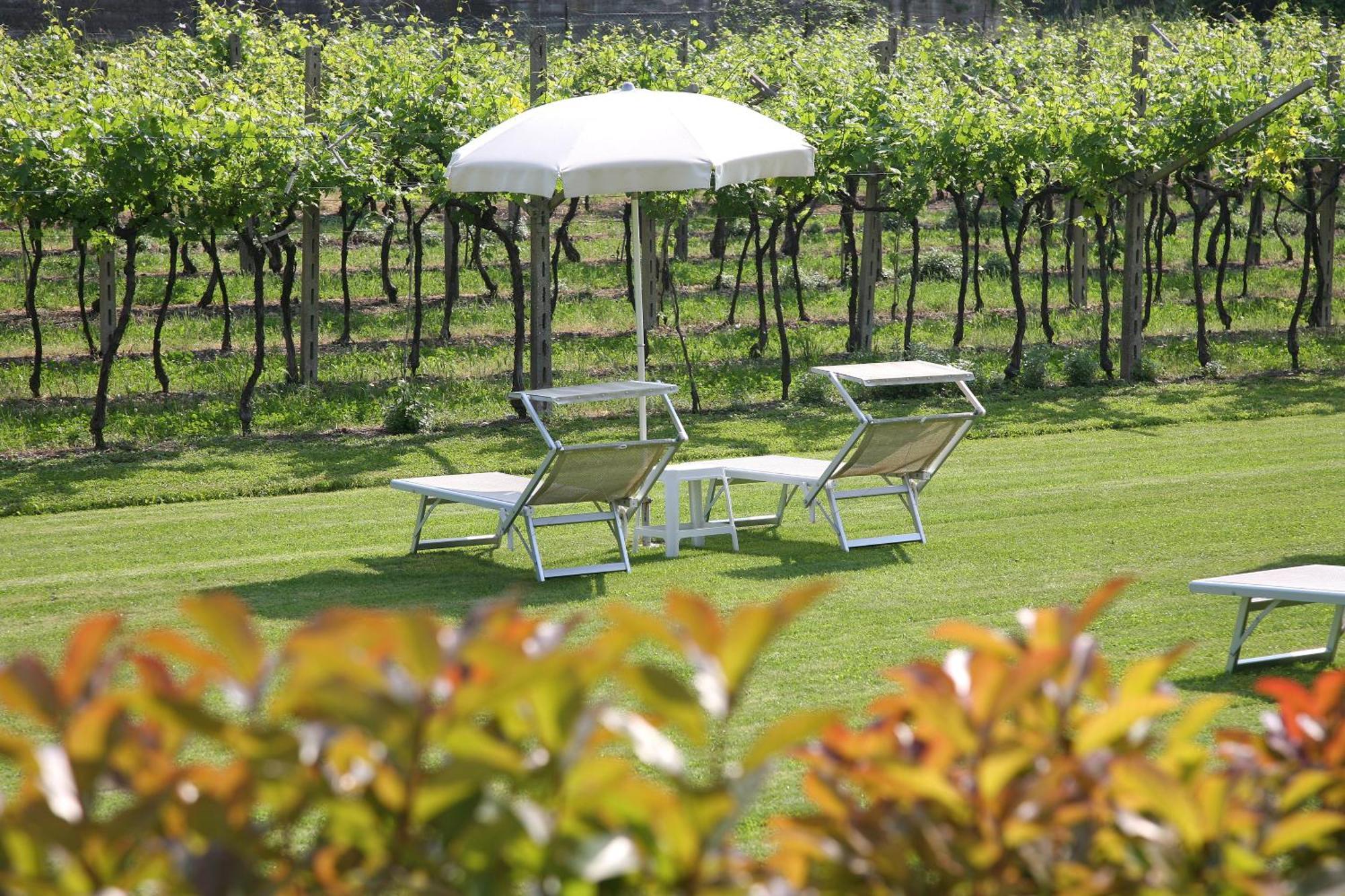 Bed and Breakfast La Zerla à Bardolino Extérieur photo